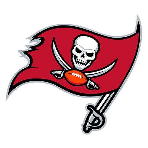 Tampa Bay logo